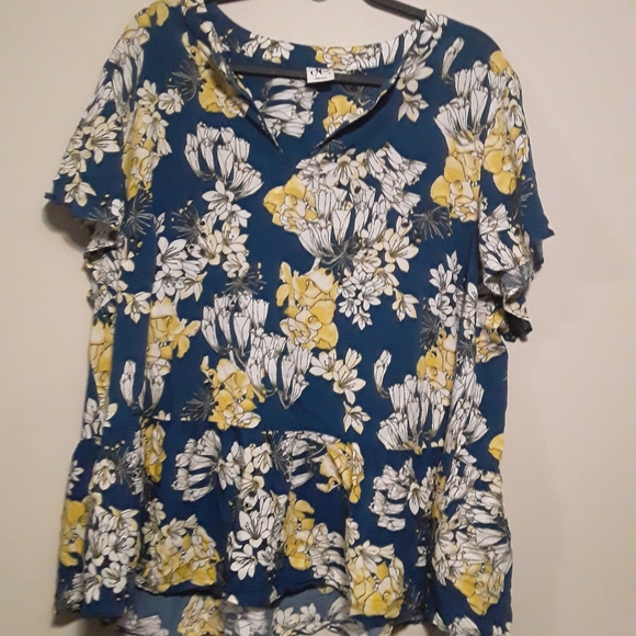 d/c Jean's Women's Plus Size Floral Vneck Blouse - Picture 2 of 12